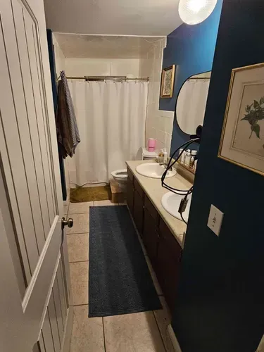 Narrow bathroom with blue walls, white sink vanity, mirror, shower curtain, and dark floor runner.