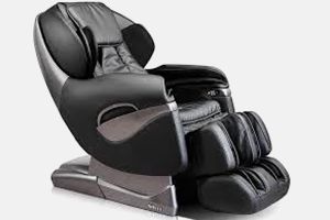 Fujimi EP-7000 - Massage Chair