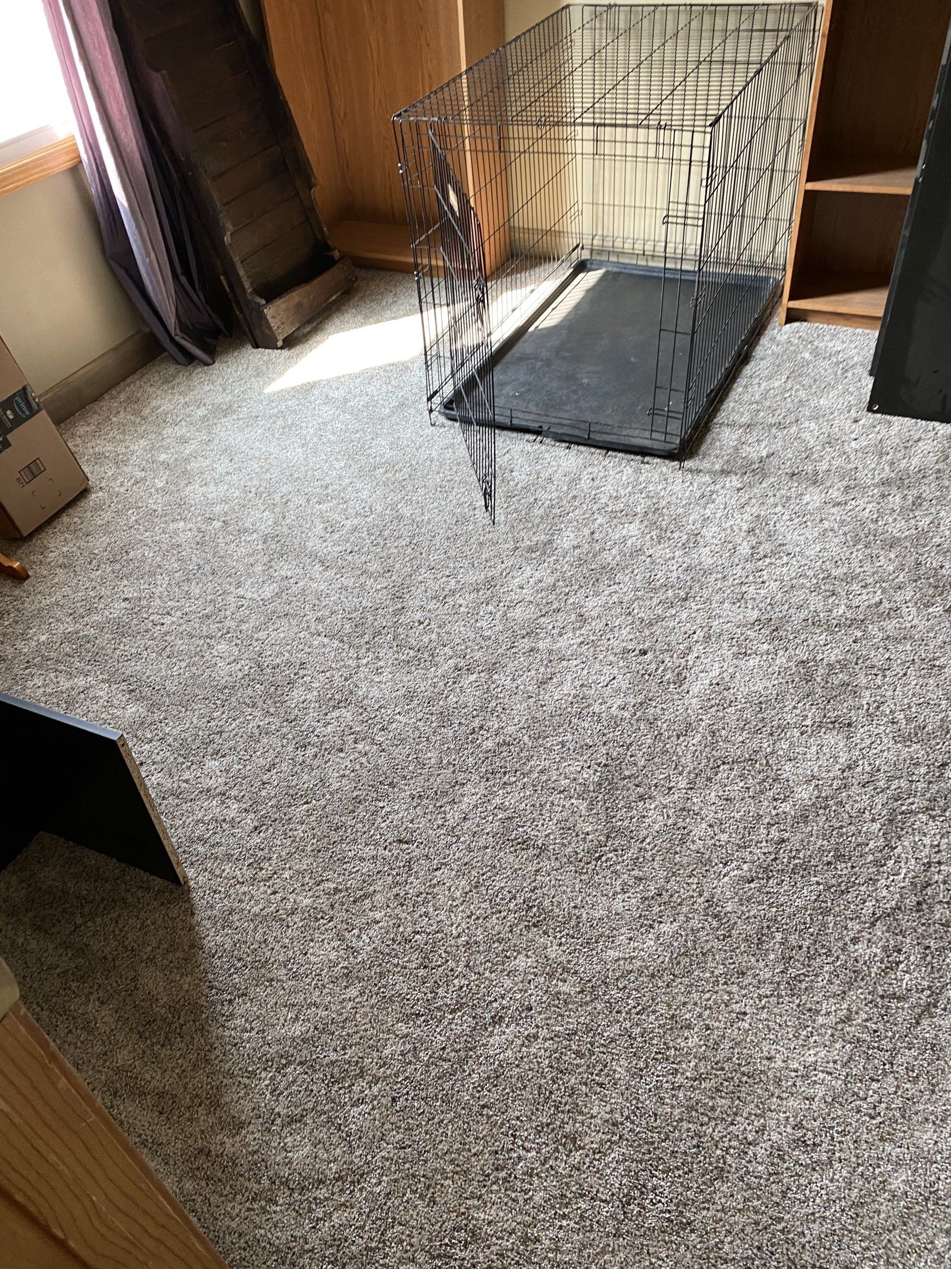 A dog cage is sitting on top of a carpeted floor in a room.