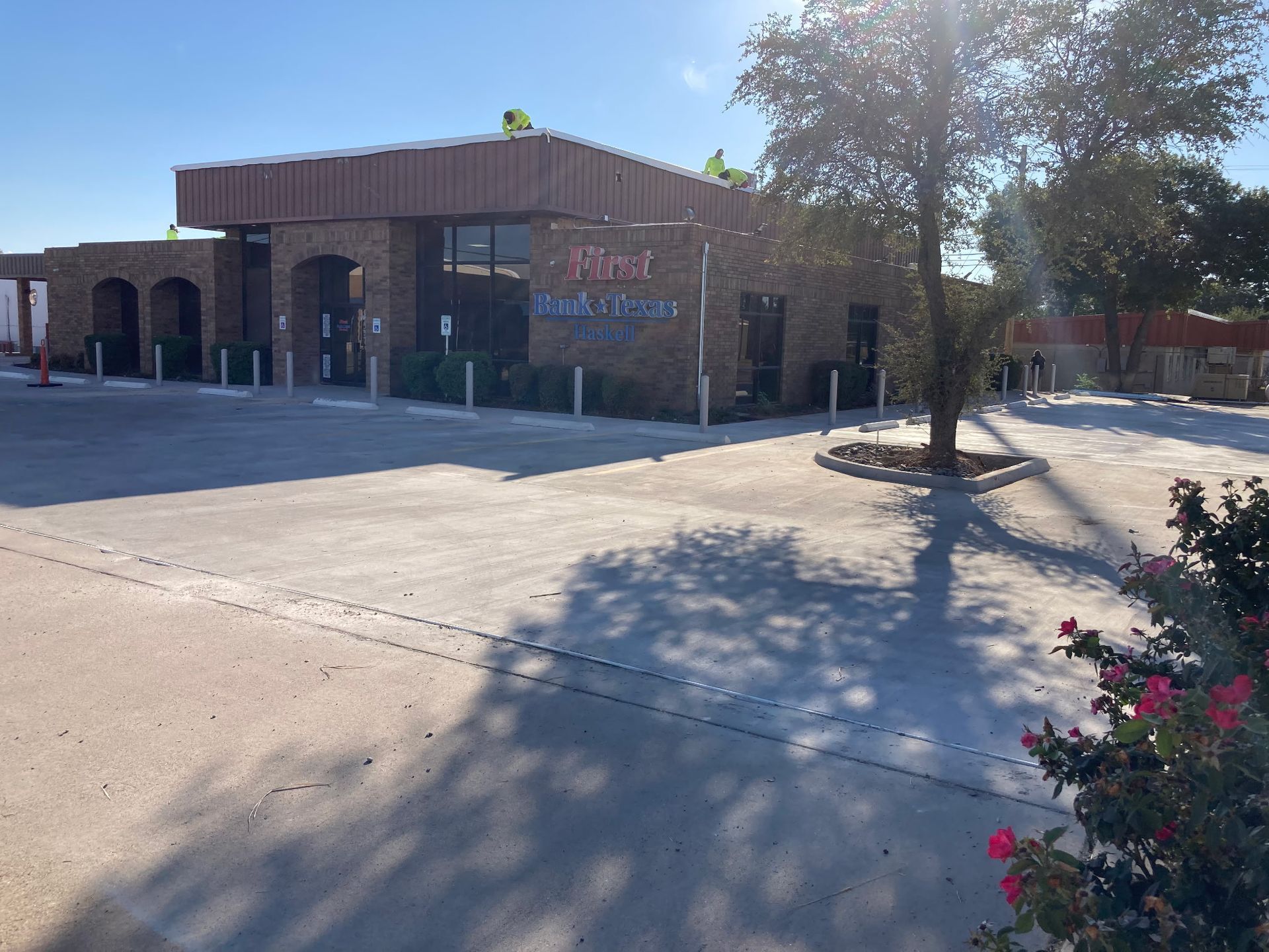 Sunlit brick storefront with large windows and empty parking lot, framed by a tree and flowering shrubbery