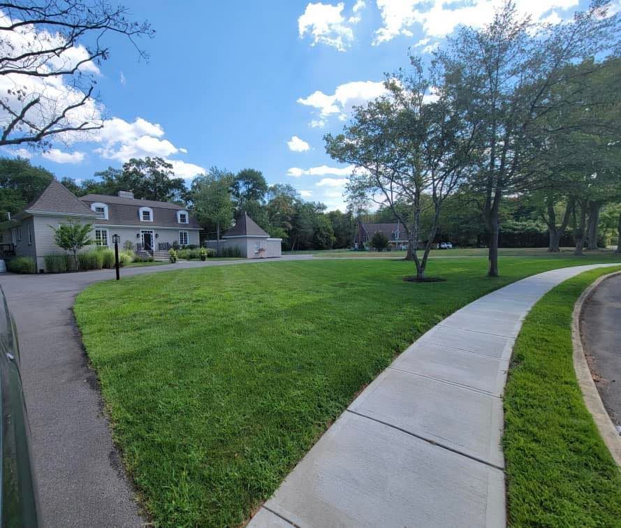 A lush green lawn with a house in the background