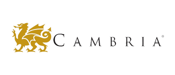 Gold dragon logo next to the word 