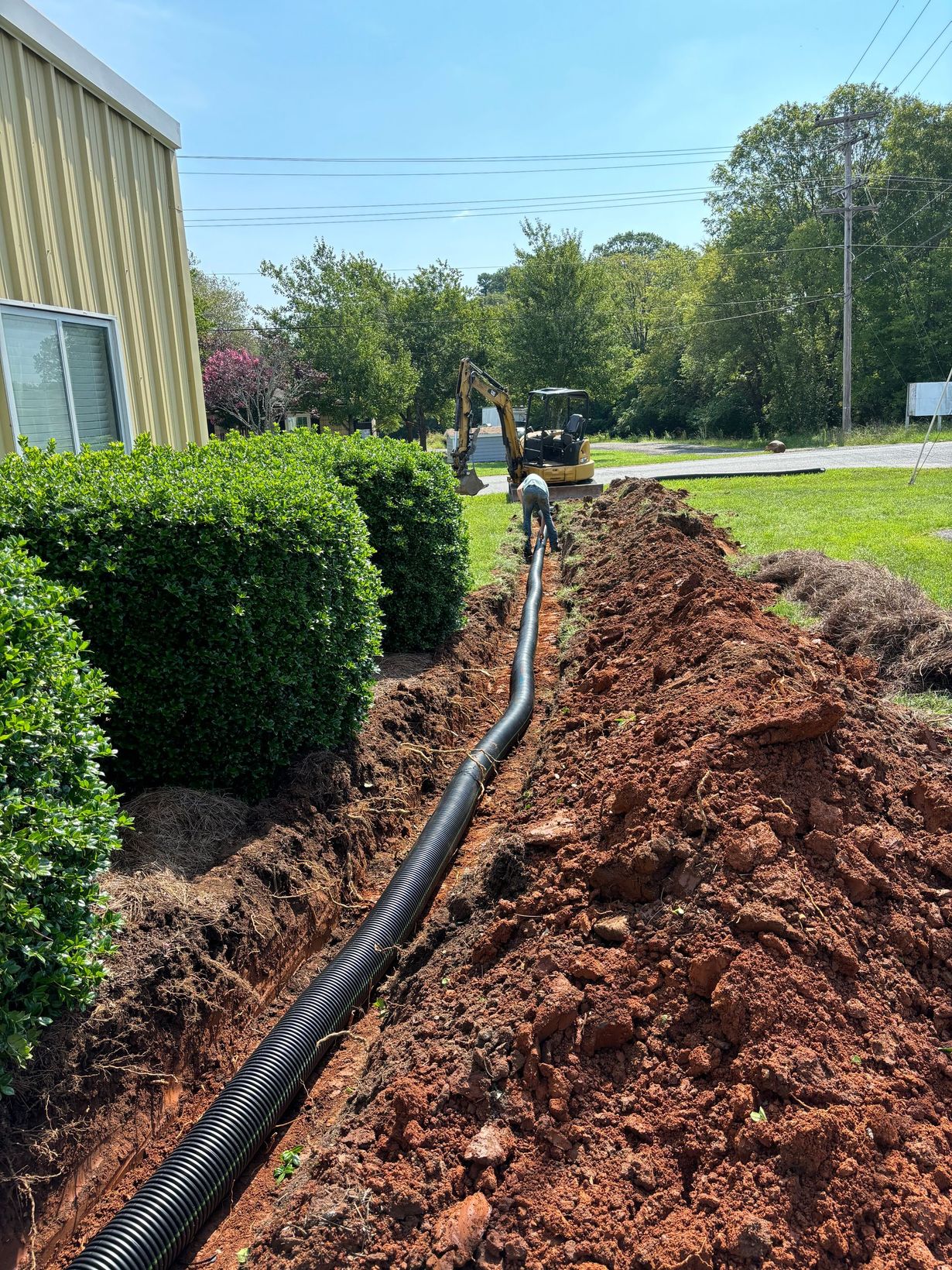 Black drainage pipe running through a mulched garden bed beside hedges and a building on a sunny day