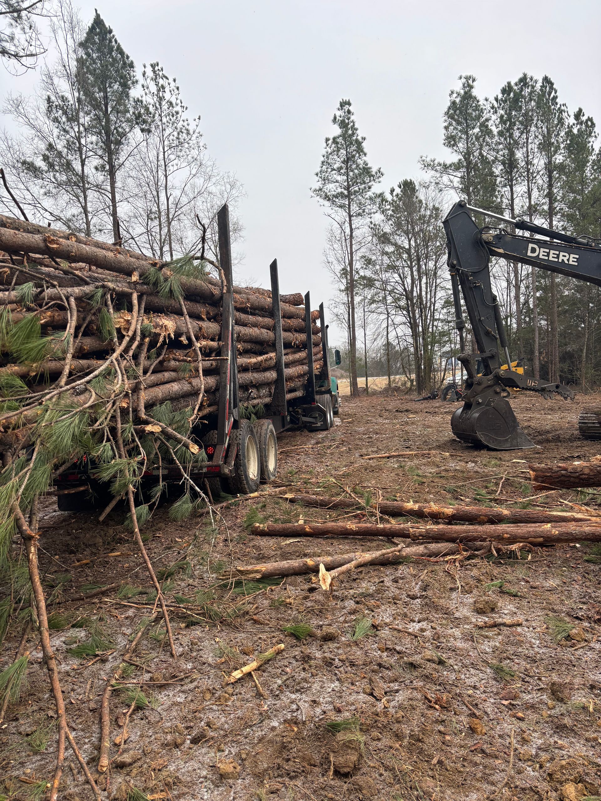Logging site with piled cut logs, a forestry machine, and a dirt path in a sparse forest