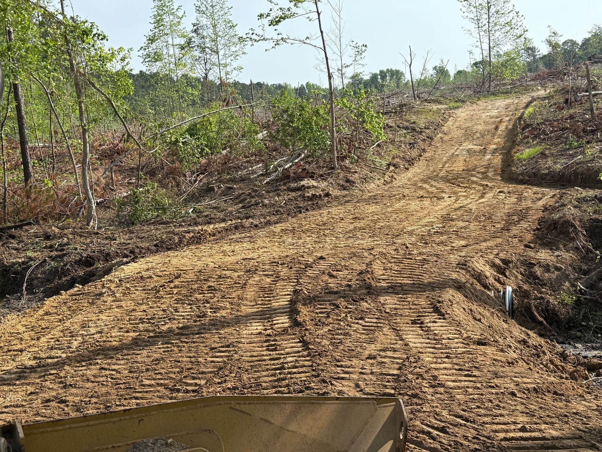 Dirt road through a cleared, dry field with sparse trees and a muddy patch in the foreground