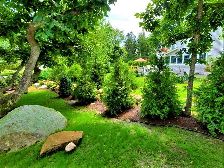 Nature Redesigned Landscaping photo gallery