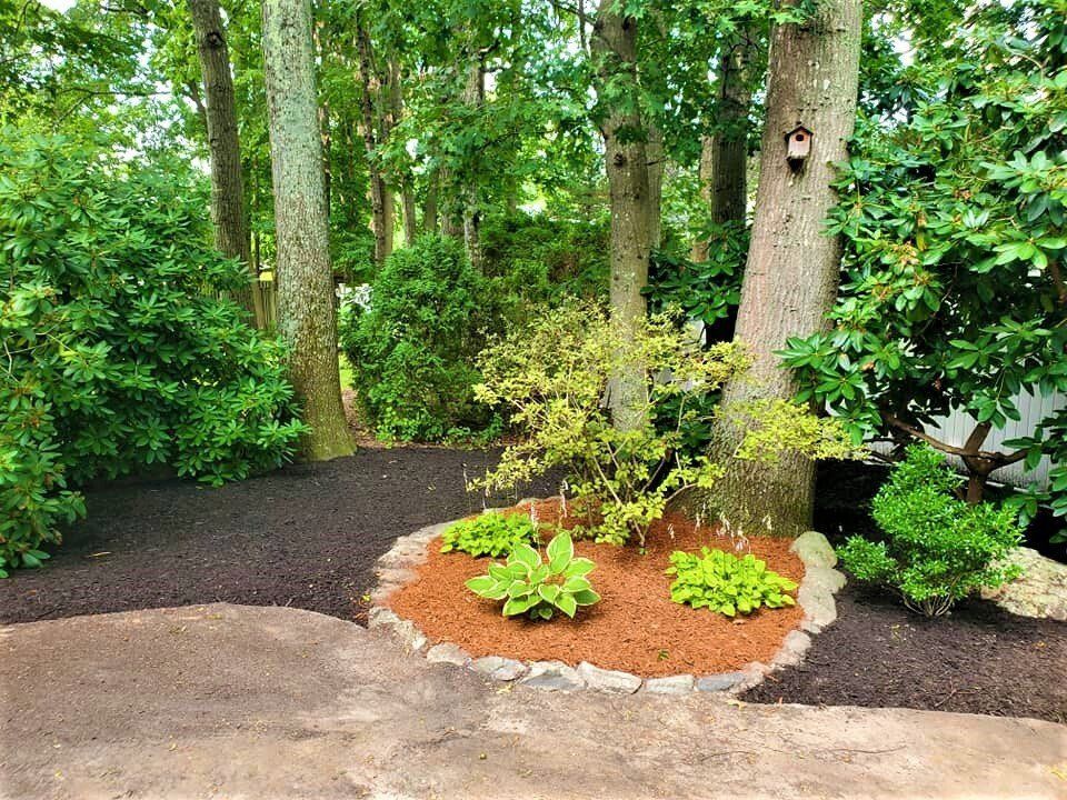 Nature Redesigned Landscaping photo gallery