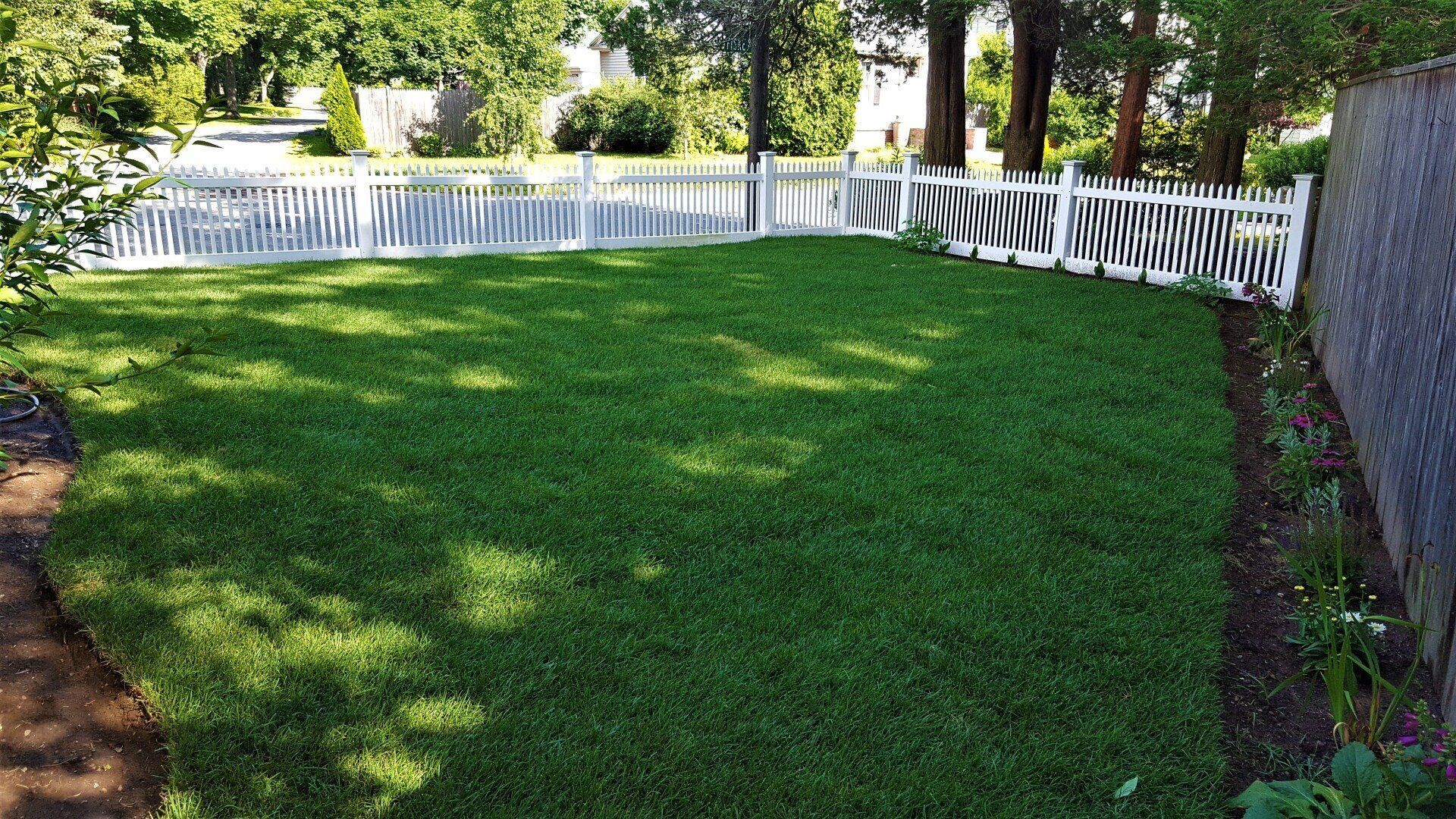 Nature Redesigned Landscaping photo gallery