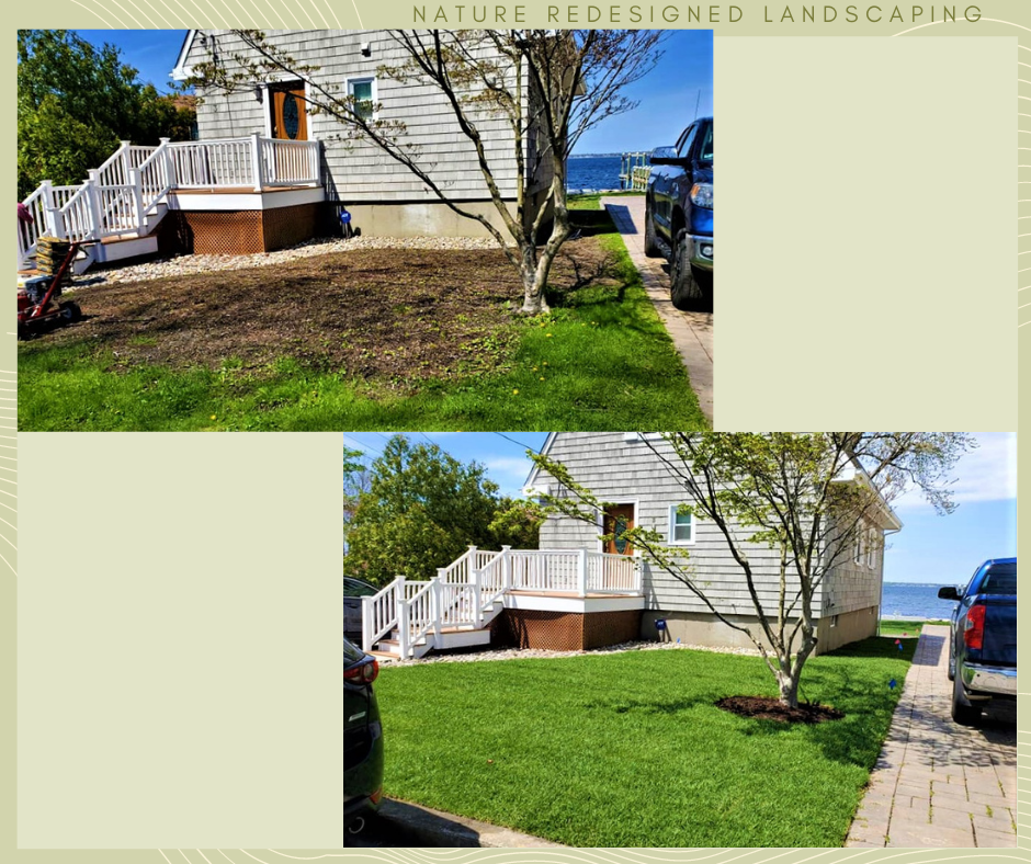 Before and After photo gallery