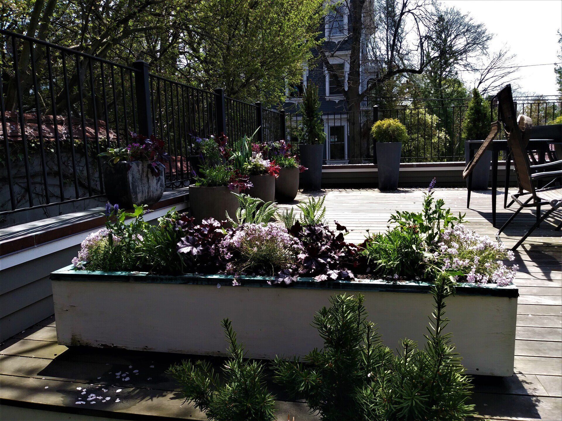 Nature Redesigned Landscaping photo gallery