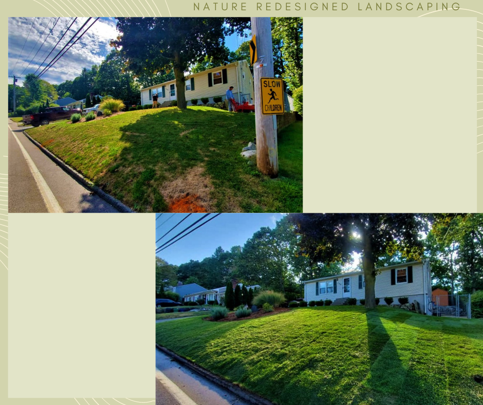 Before and After photo gallery