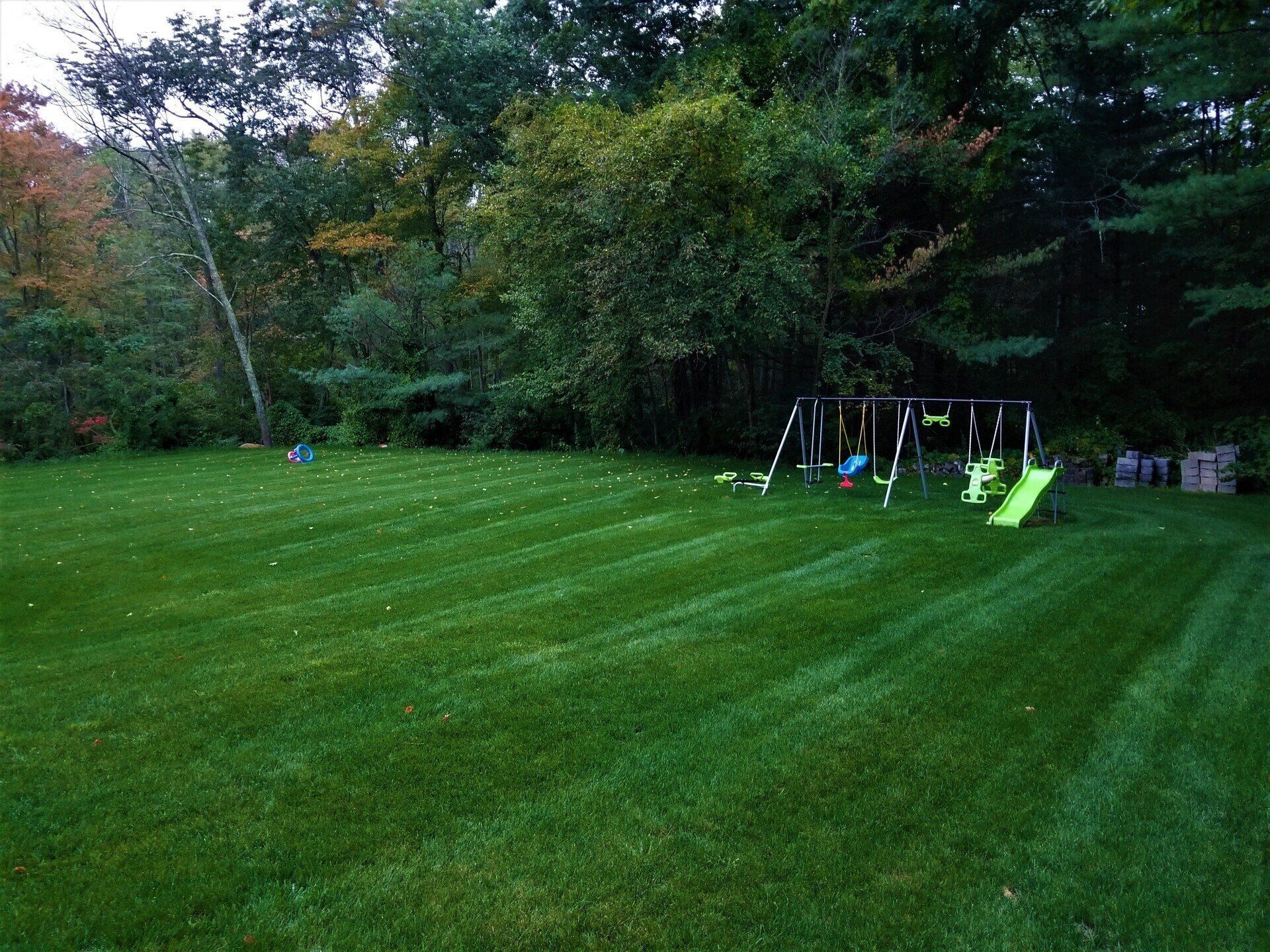 Nature Redesigned Landscaping photo gallery