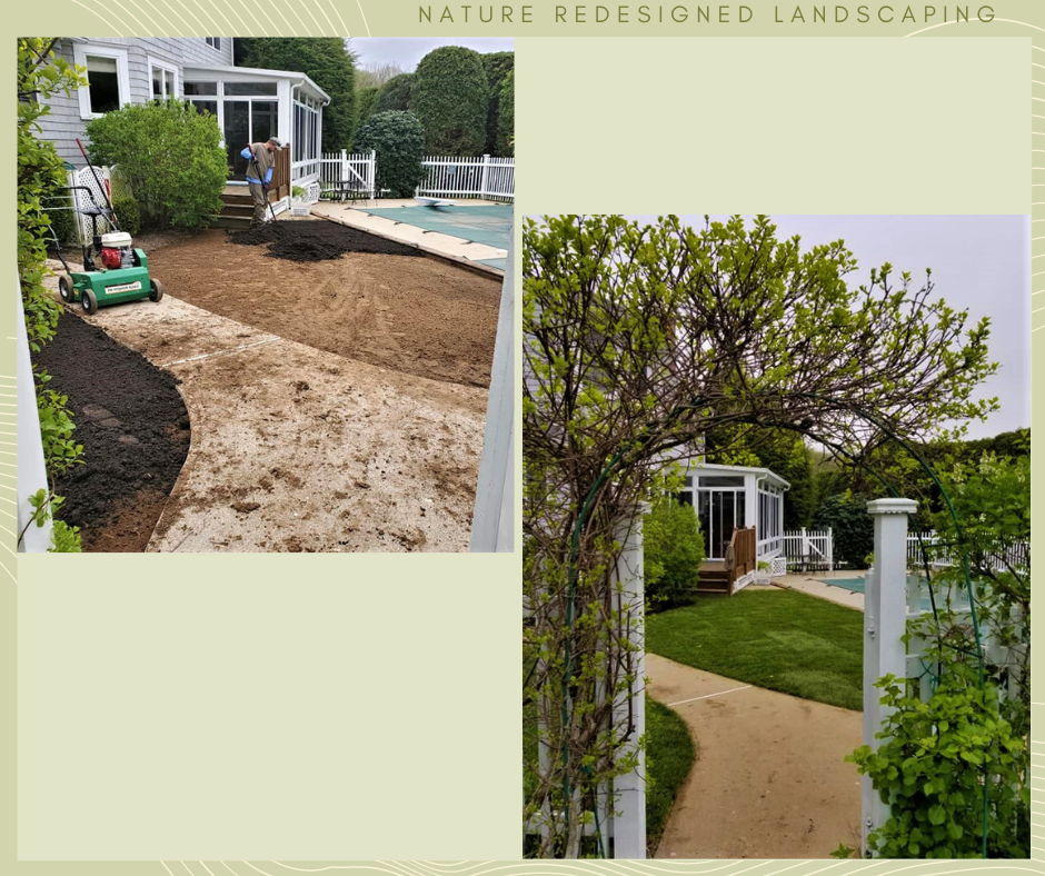 Before and After photo gallery