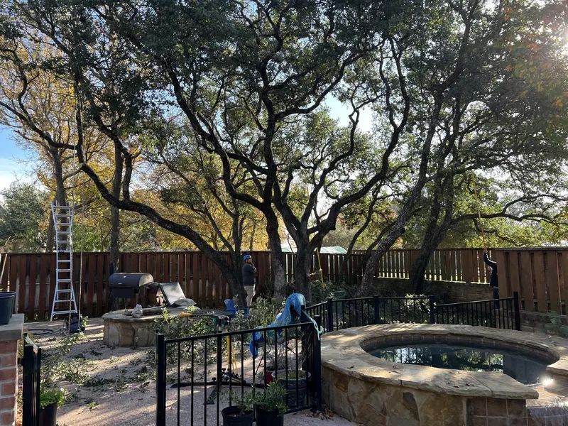A large tree is in the middle of a backyard next to a pool.