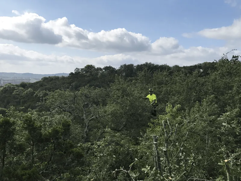 A man in a yellow vest is standing in the middle of a forest.