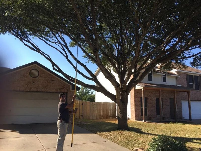 A man is measuring a tree in front of a house
