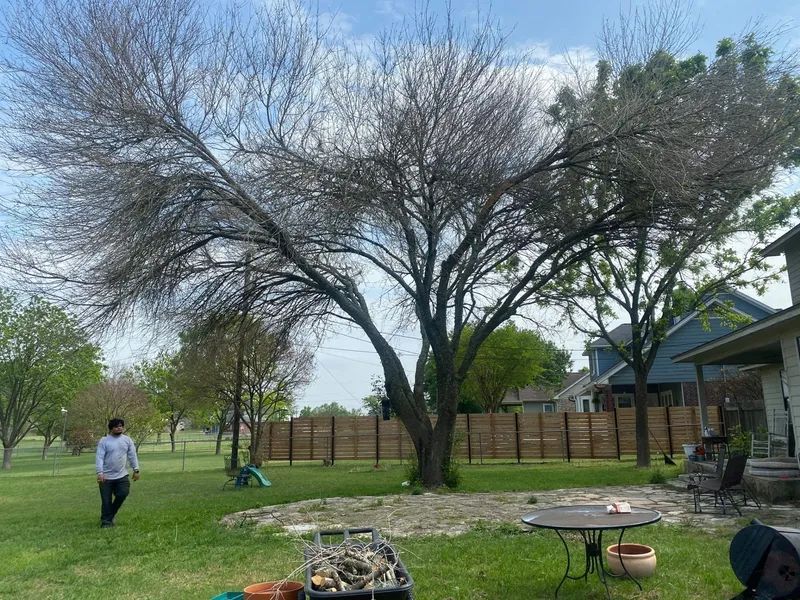 A man is standing in a yard with a tree and a table.