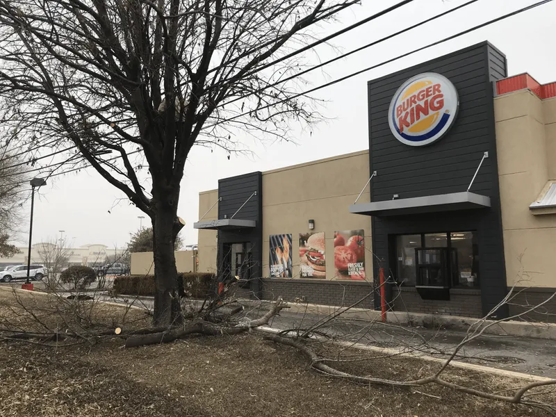 A burger king restaurant with a tree in front of it