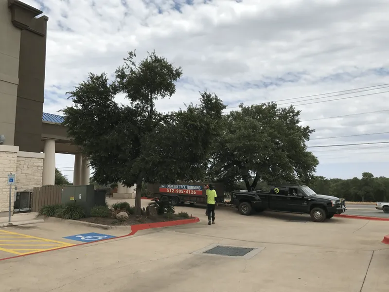 A black truck is parked in a handicapped parking spot