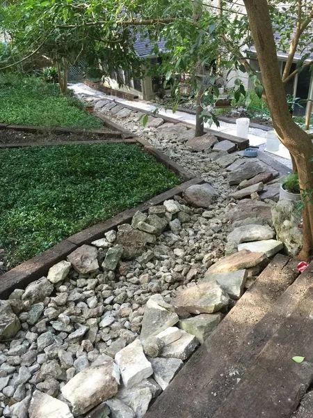 A stone walkway leading to a house in a backyard.
