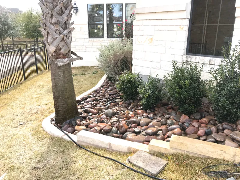 There is a tree in the middle of a rock garden in front of a house.