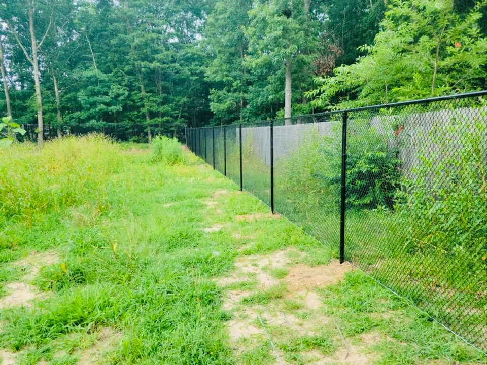 Black chain-link fence separating tall grass from a wooded area. The sky is overcast.