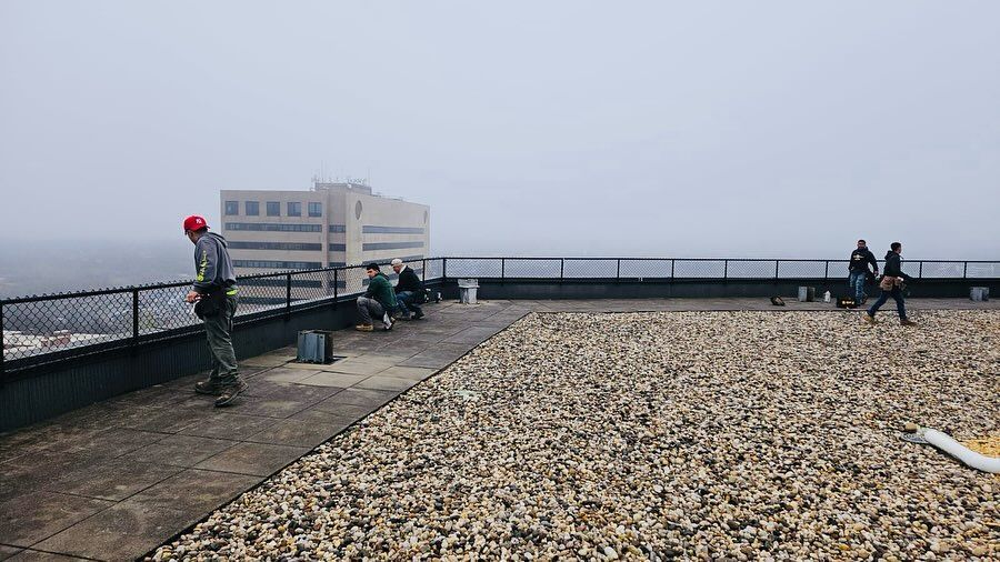 People on a rooftop with a cloudy sky. One person in an orange helmet looks over the edge, others walk along the gravel surface.