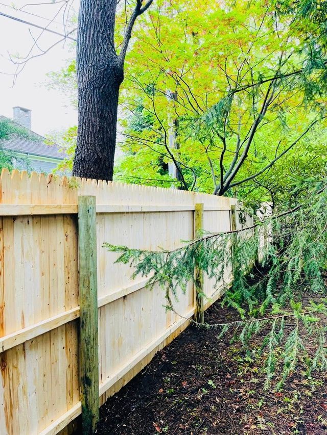 Wooden fence beside a wet path, with green trees and overgrown bushes in a leafy yard