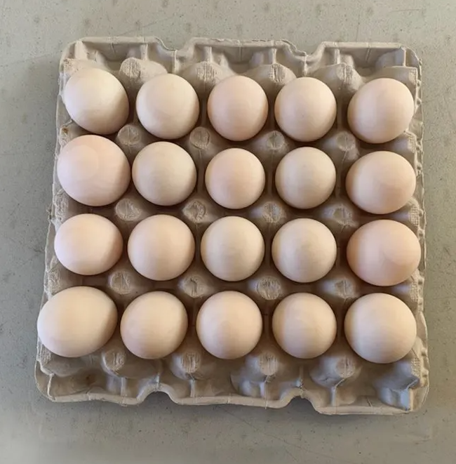 Lapp's Wholesale Specialty Eggs LLC Supplier Oxford, PA