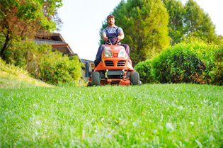 Lawn Care