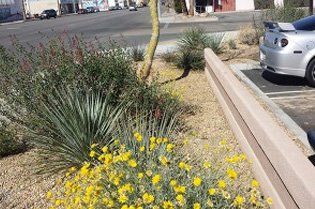 Landscaping Services