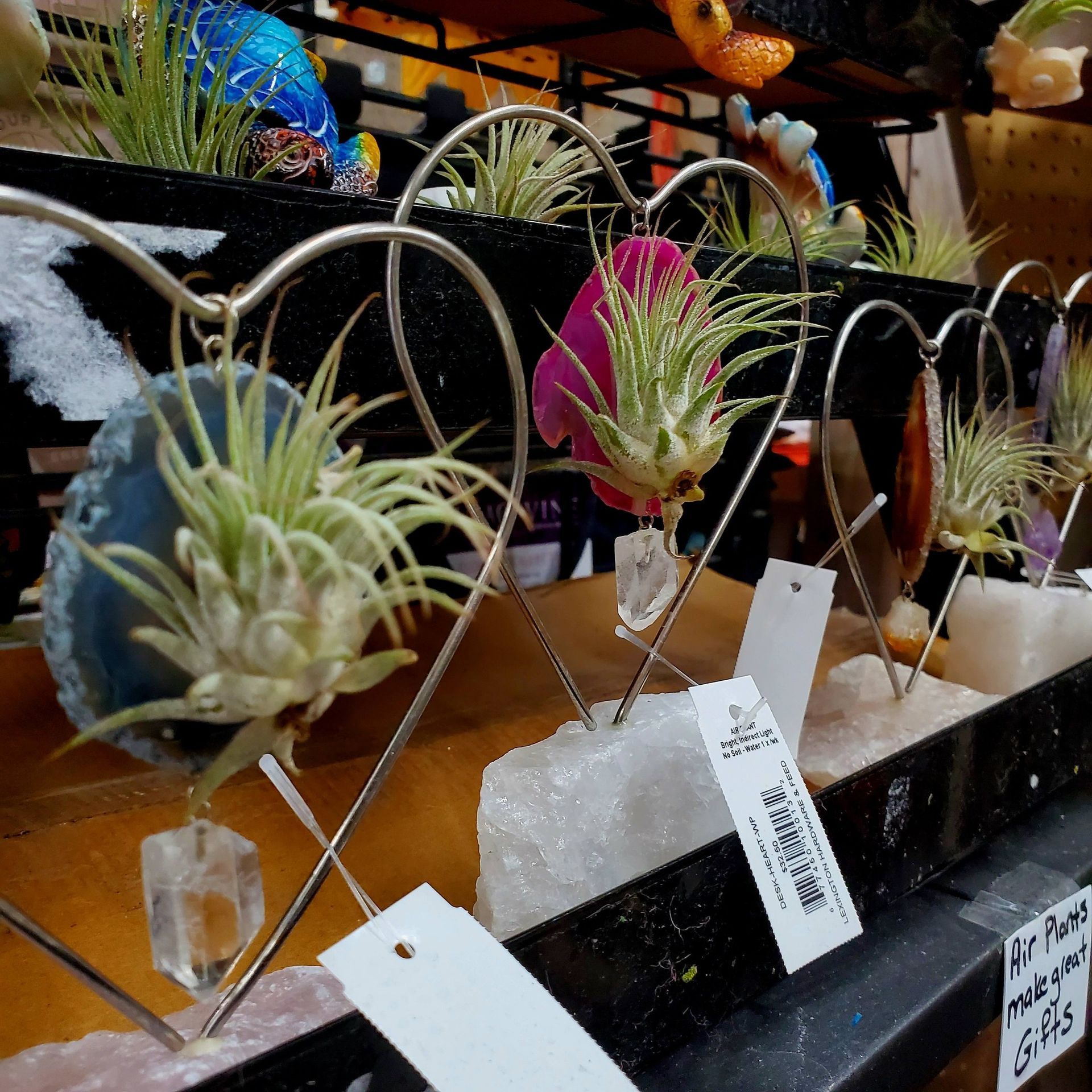 Three air plants held in heart-shaped wire stands, each perched on a crystal base with price tags attached.