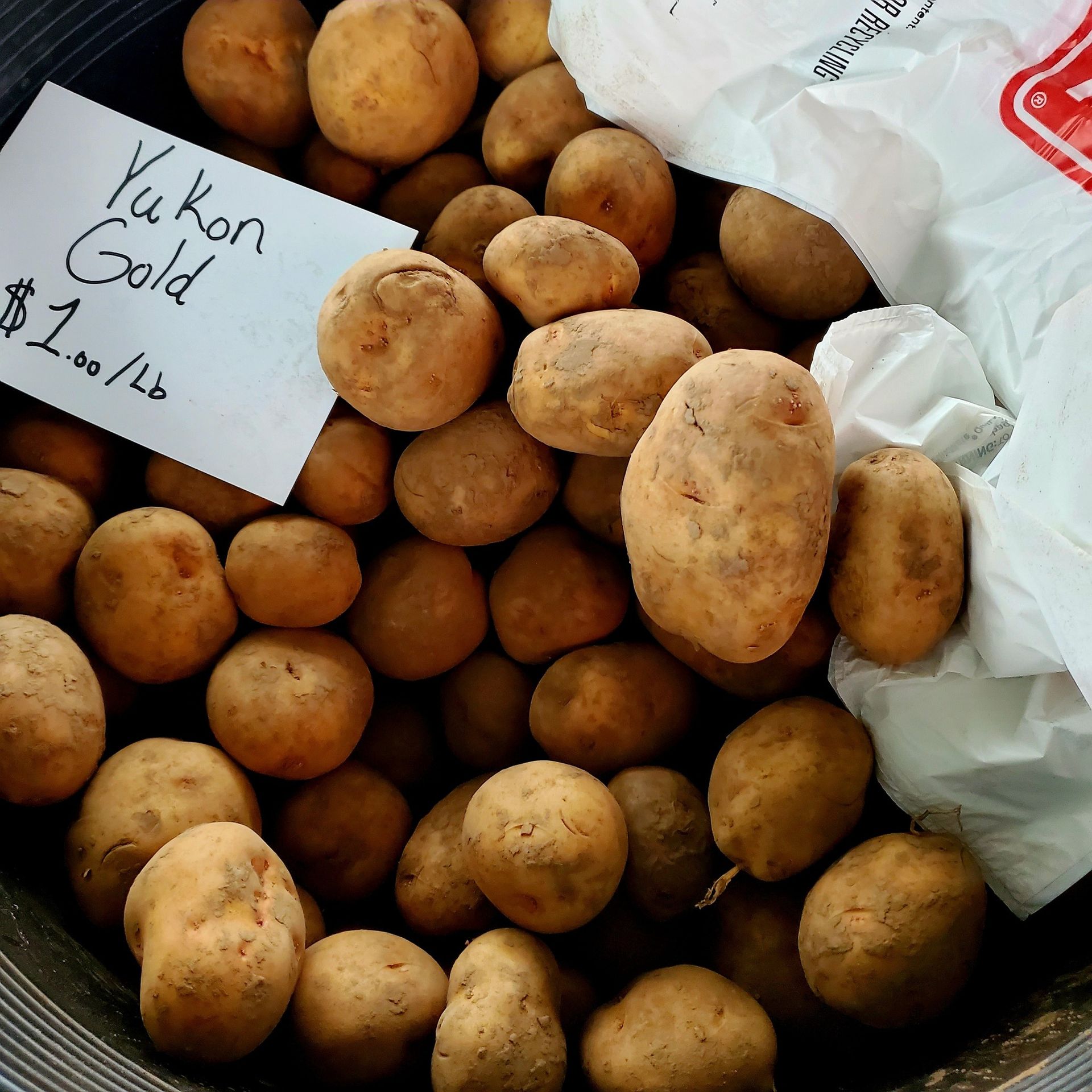 A bin of Yukon Gold potatoes for sale at $1.50/lb, with a white paper sign and a plastic bag visible.