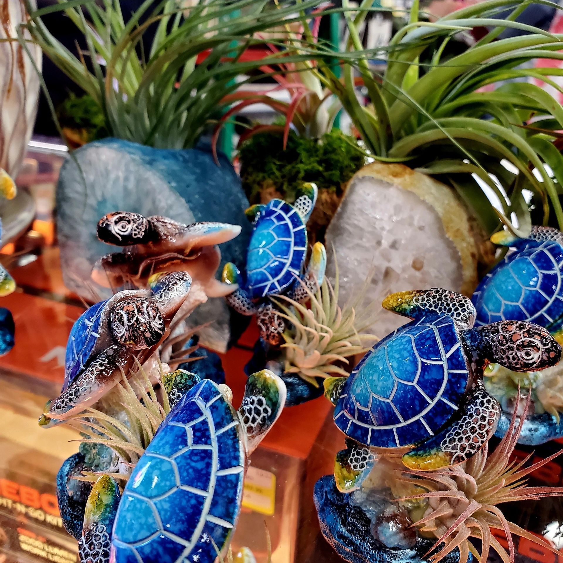 Air plants nestled in decorative stone planters with colorful miniature sea turtle figures perched on them.