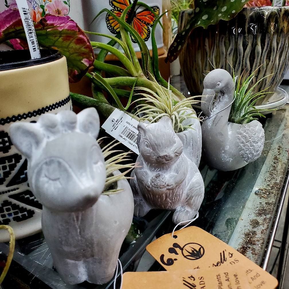 Three small animal-shaped concrete planters holding air plants sit on a shelf next to price tags.