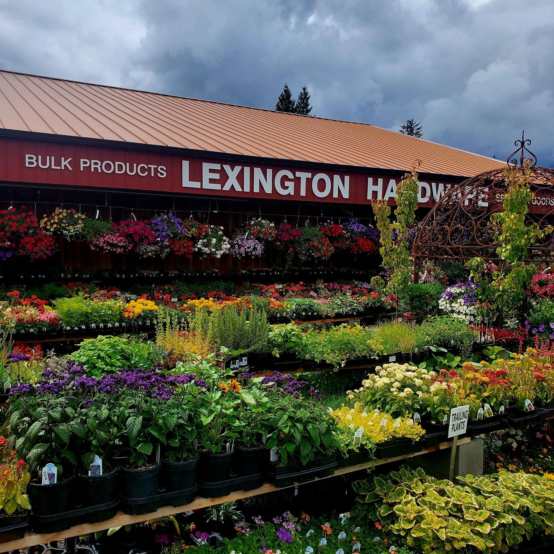 A view of Lexington Hardware with an outdoor display of colorful hanging flower baskets and potted plants.