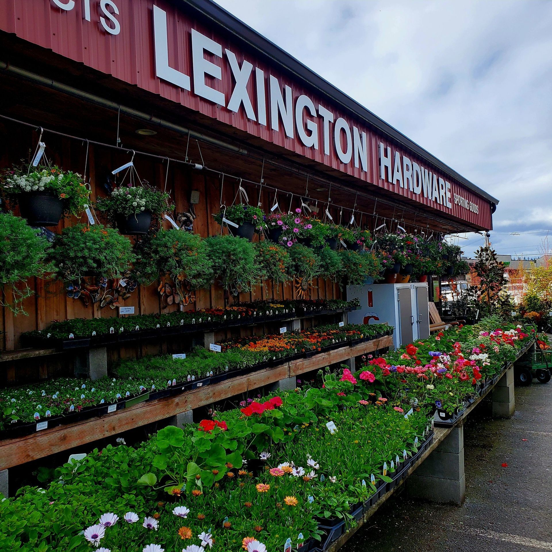 Outdoor racks filled with vibrant flowers and green plants line the exterior of a red-sided Lexington Hardware store.