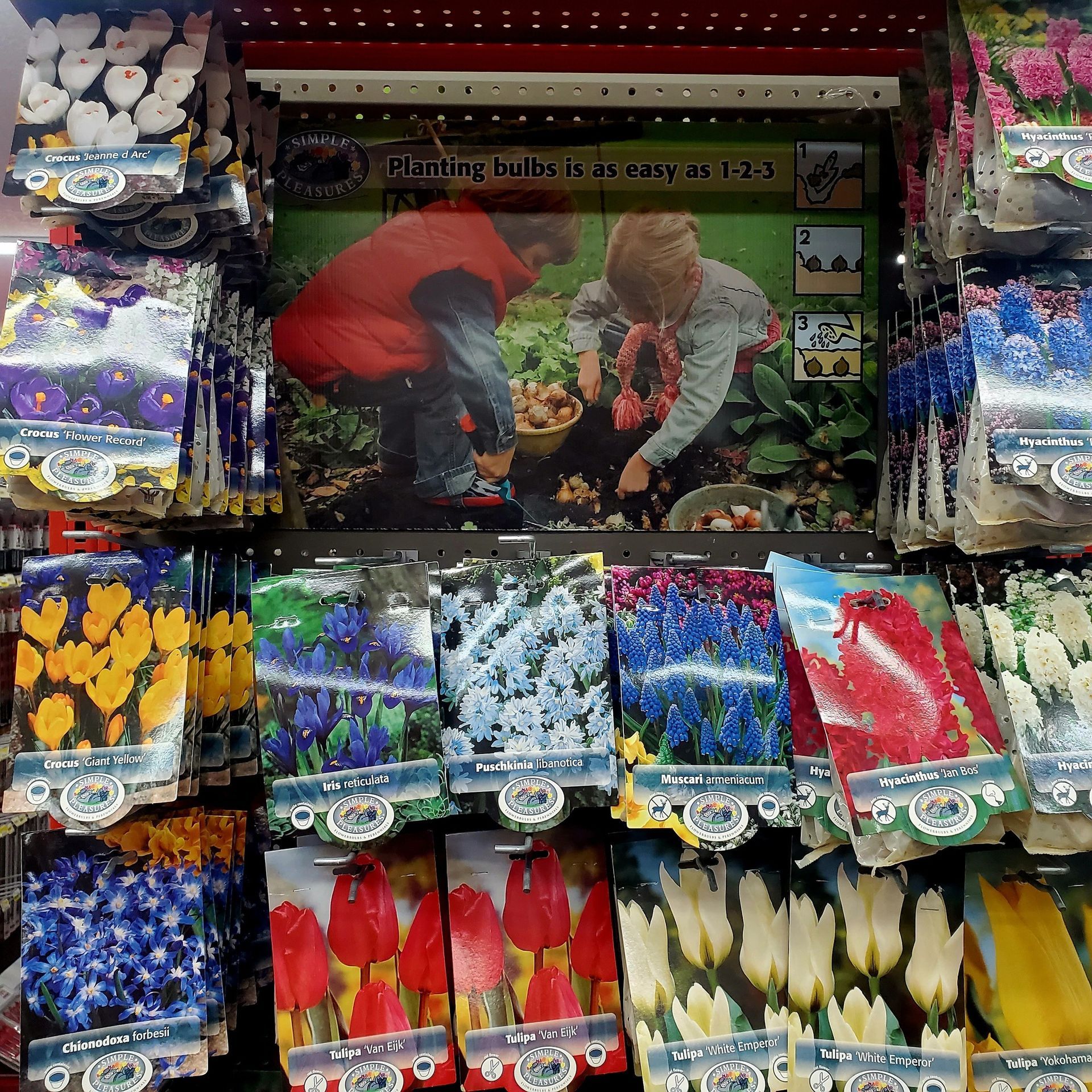 A retail display rack filled with various flower bulb packages, centered by an instructional sign for planting bulbs.