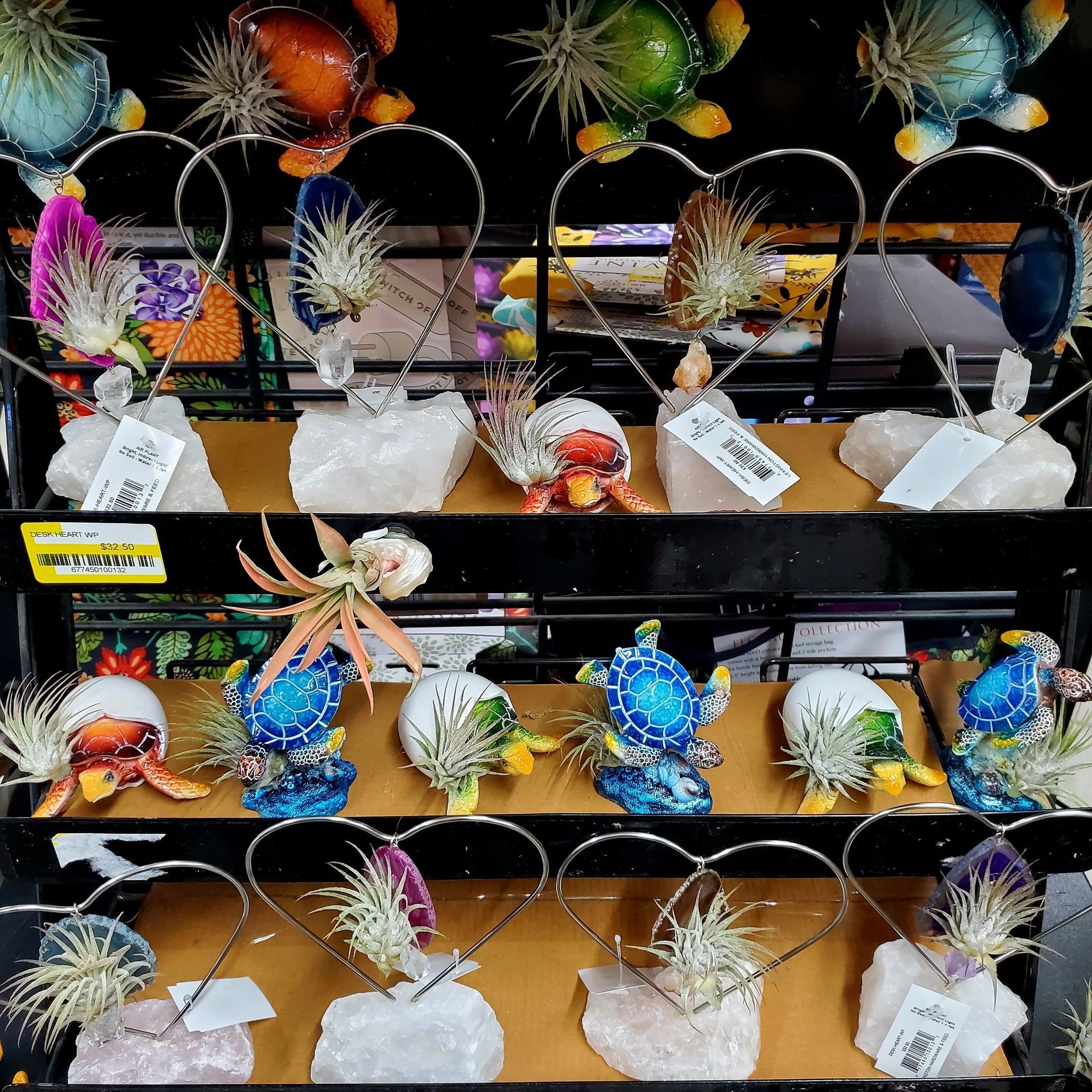 A retail display of air plants mounted in wire heart-shaped frames on quartz bases, interspersed with turtle figurines.