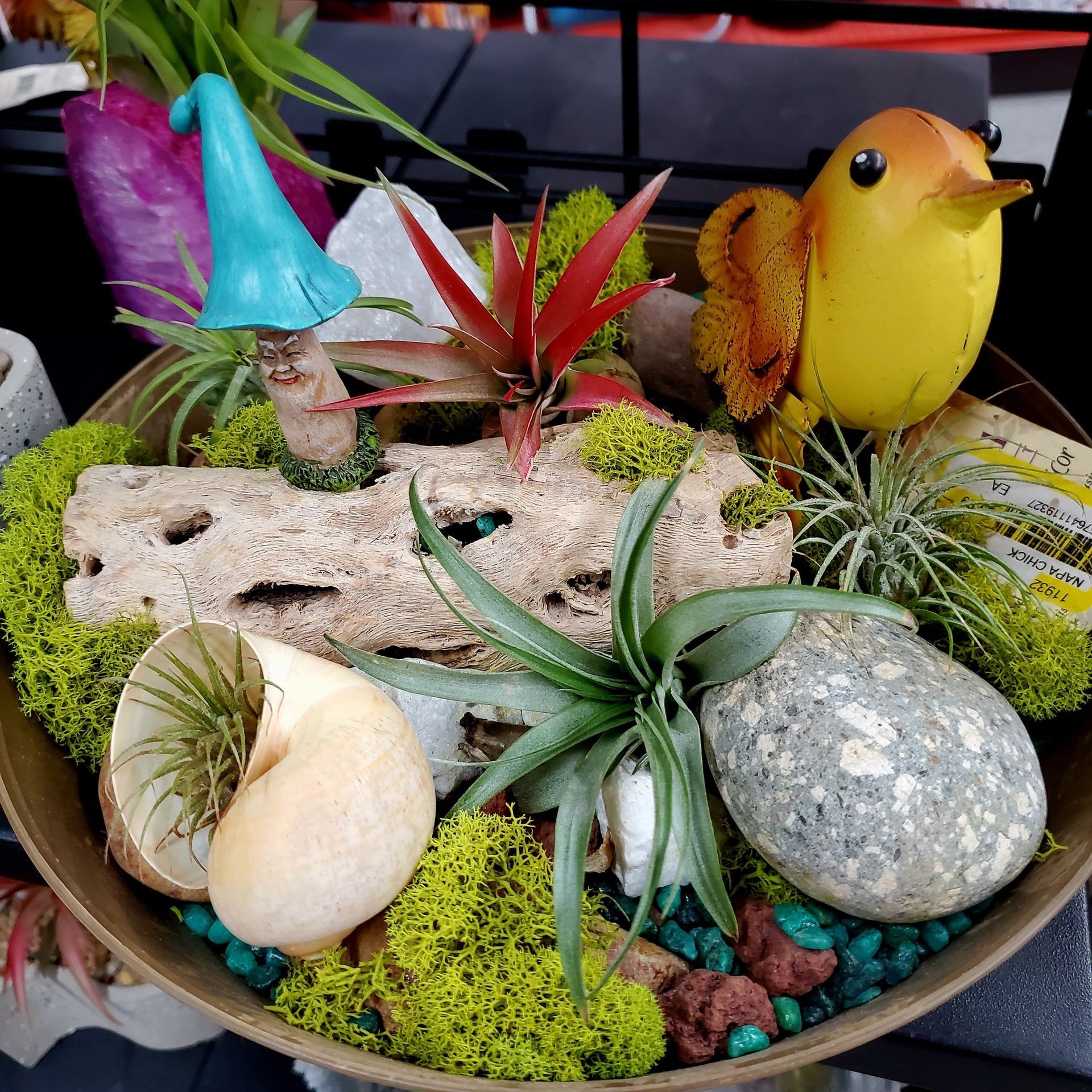 A decorative terrarium bowl featuring air plants, a blue mushroom figurine, a yellow bird, moss, stones, and a shell.