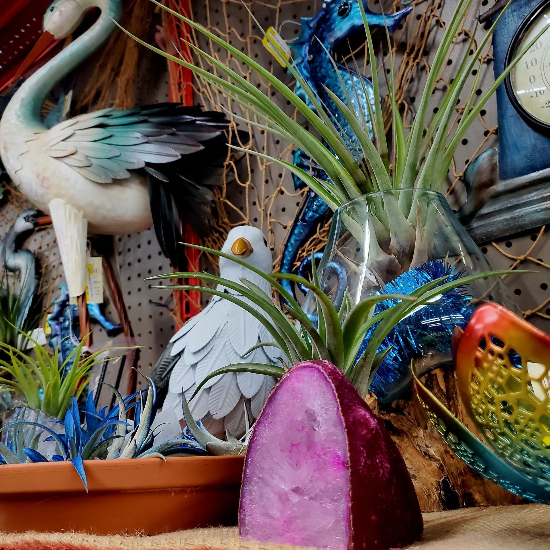Air plants displayed with decorative bird sculptures, a pink geode, and a blue seahorse in a shop.