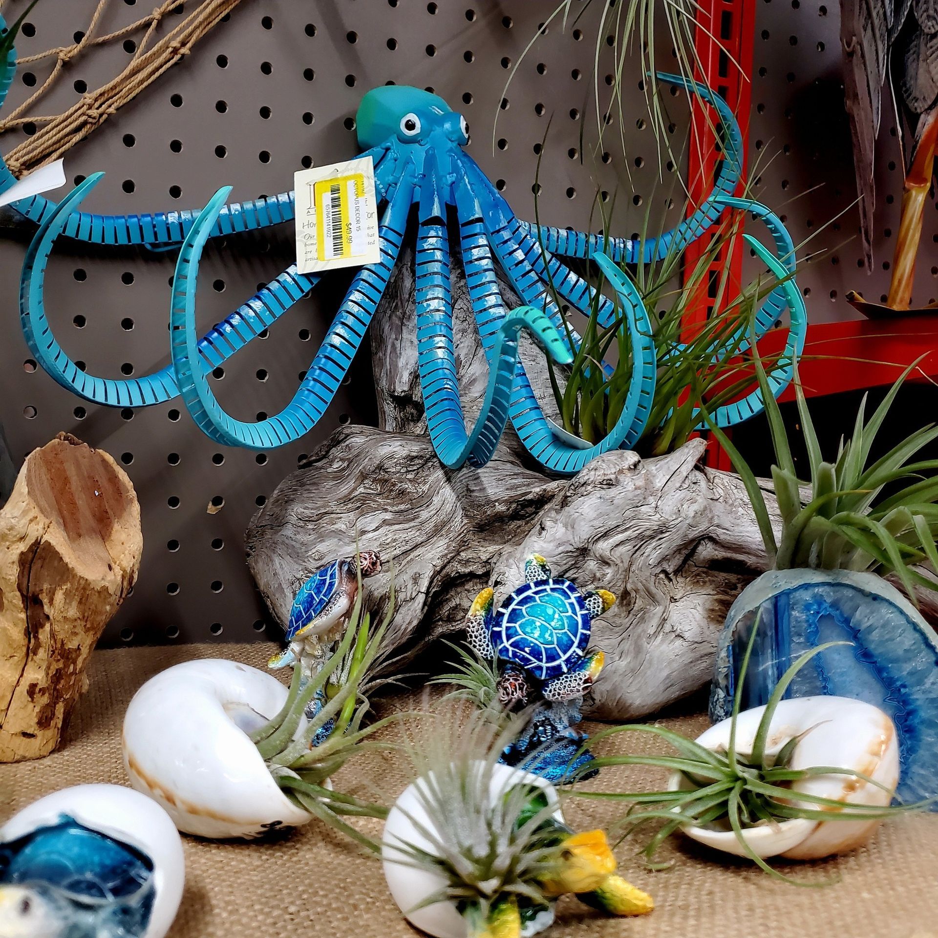 Blue metal octopus sculpture perched on driftwood, surrounded by air plants in seashell and turtle-shaped planters.