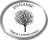 Dynamic Tree & Landscaping | Twin Cities Metro, MN