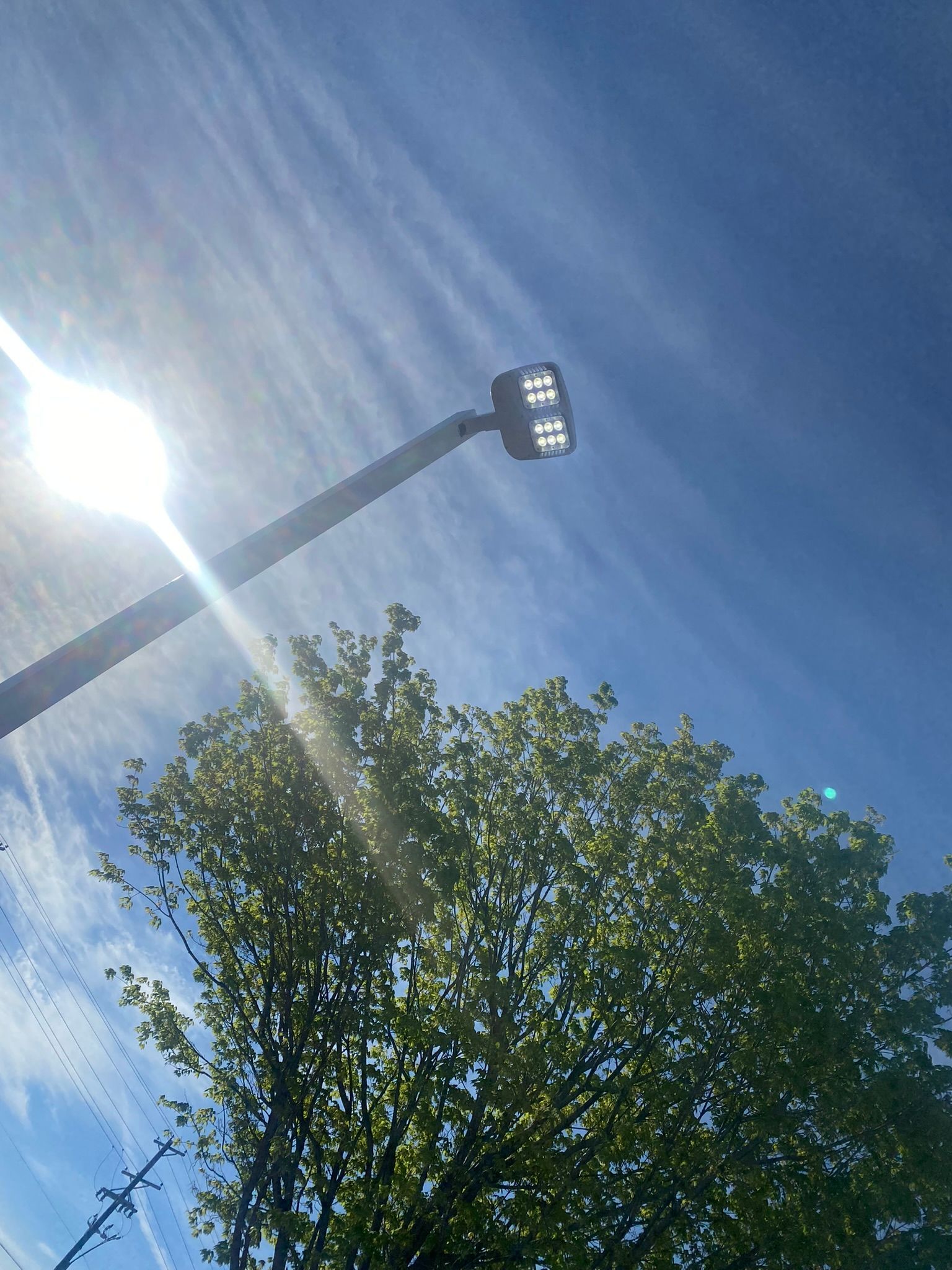 Bright sun shines behind a street light, blue sky with wispy clouds, tree in foreground.
