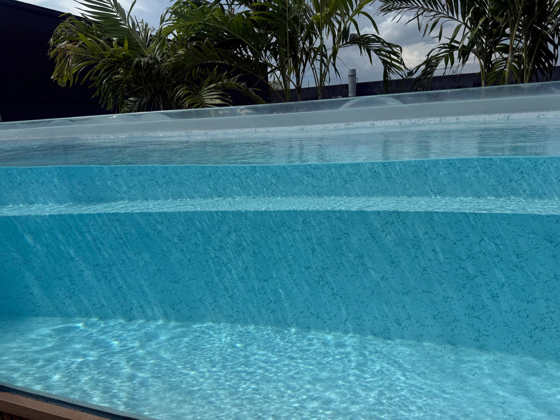 Clear blue swimming pool with shimmering water and palm trees in the background