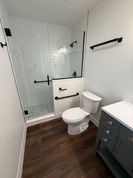 Accessible bathroom: shower with glass door, toilet with grab bars, dark wood floor, vanity.