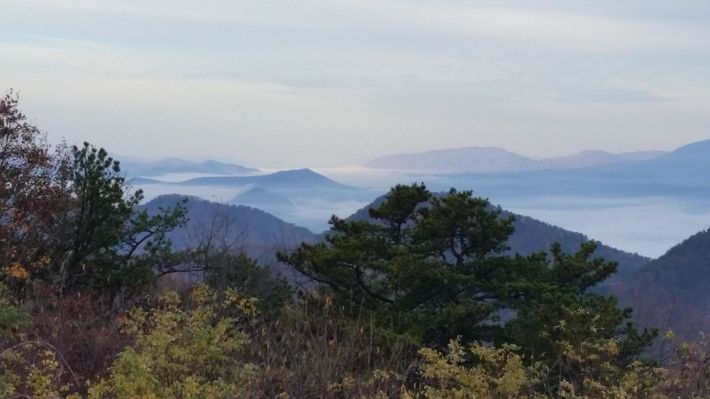 A view of a foggy mountain range with trees in the foreground.