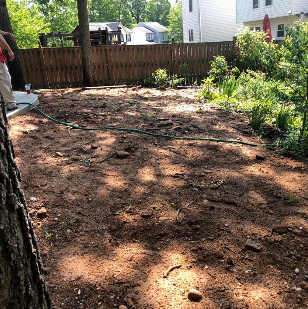 Sod installation before