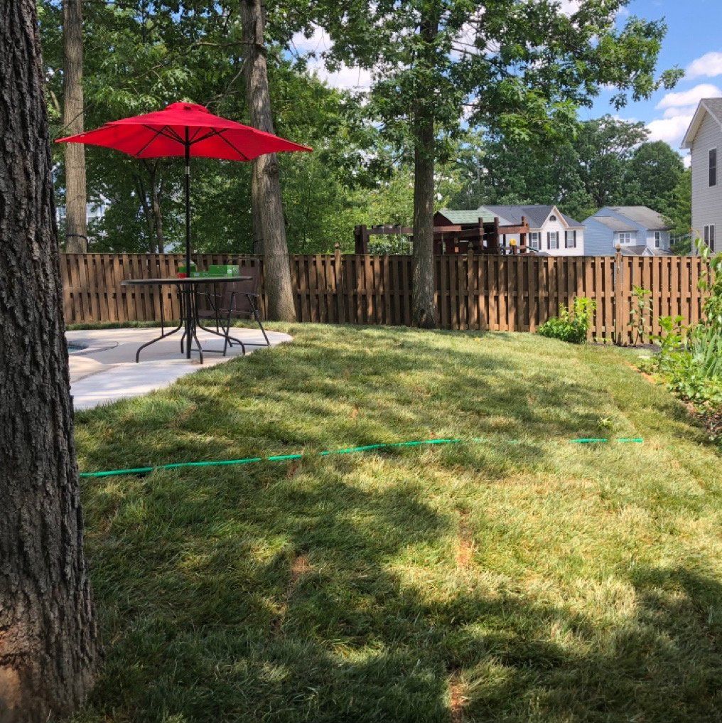 Sod installation after