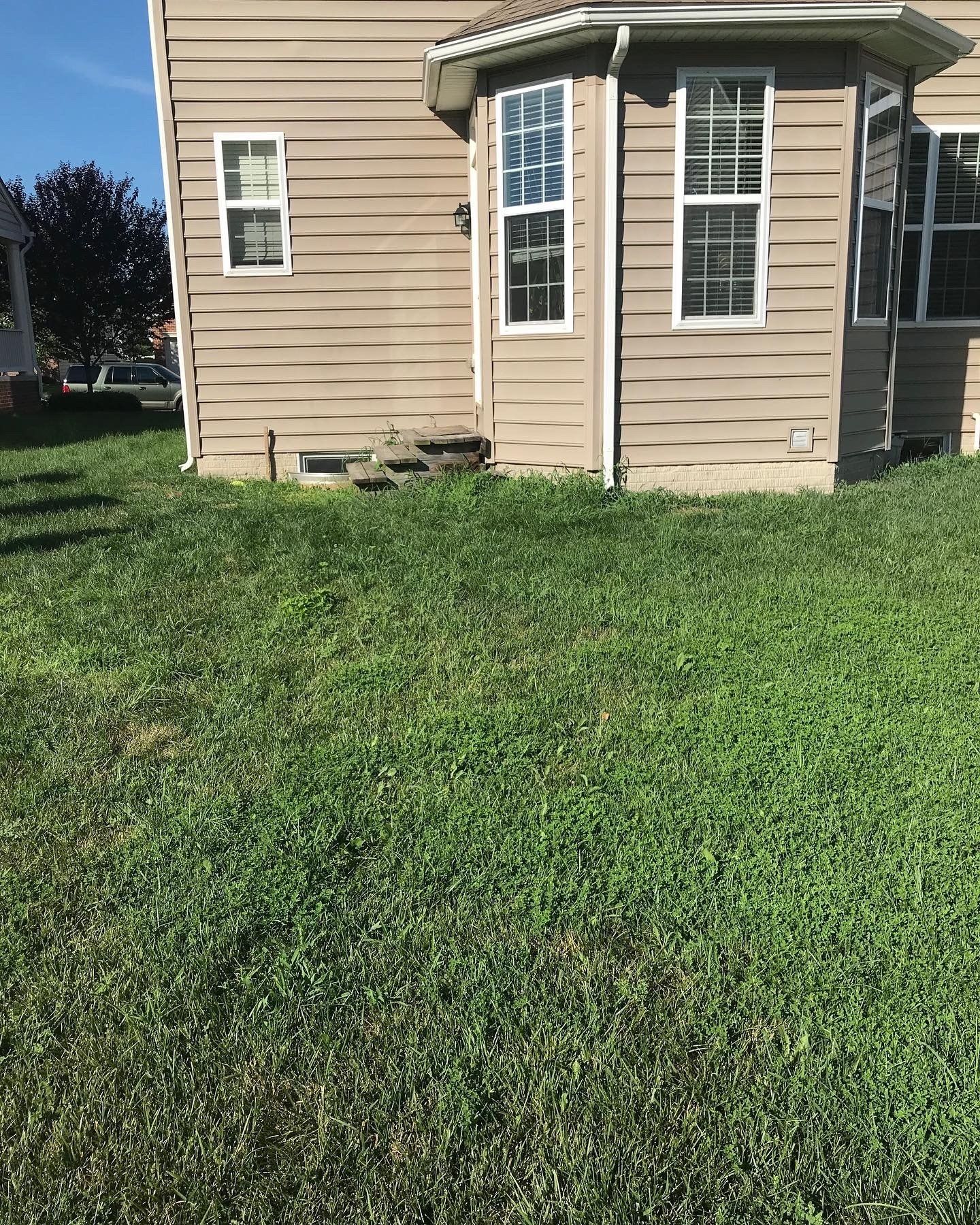 Landscaping Services